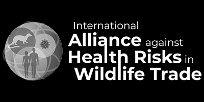 International-Alliance